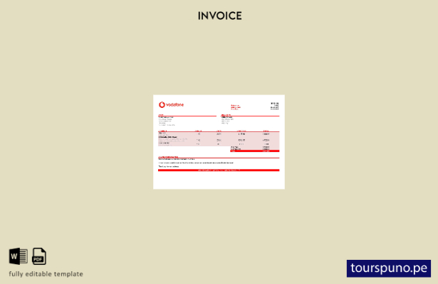 Plantilla de factura Vodafone de EE. UU. lista para imprimir
